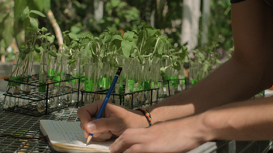 hand writing a note with plants in the background